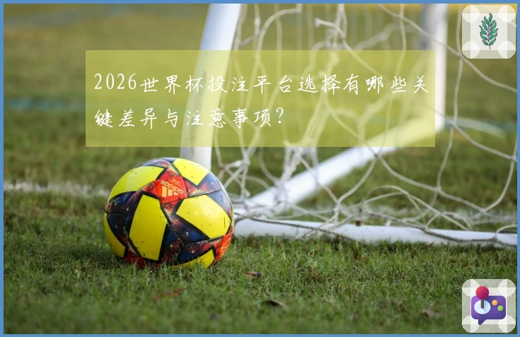 2026世界杯投注平台选择有哪些关键差异与注意事项？