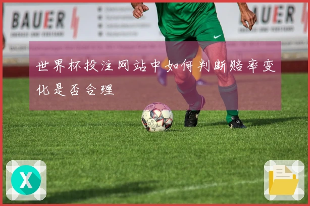 世界杯投注网站中如何判断赔率变化是否合理